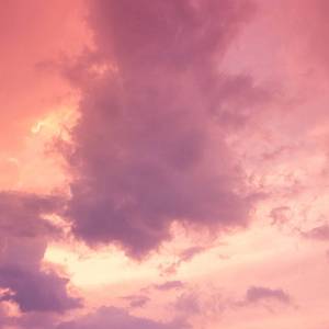 公交车上做爱毛片
