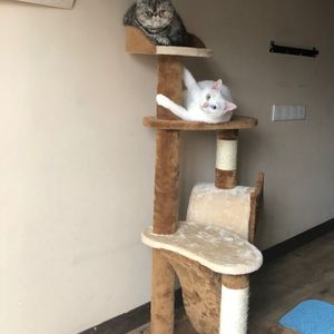 公交车上做爱毛片
